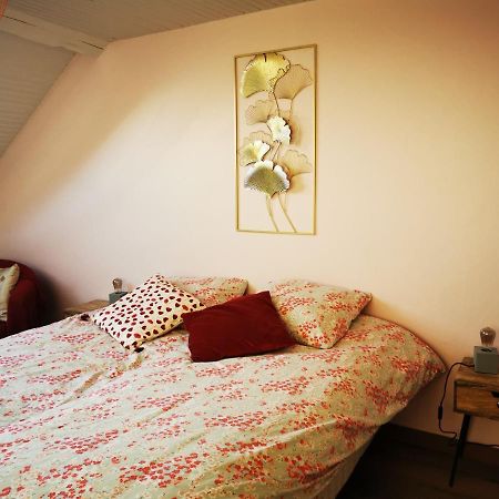 Domaine De L'Esperance, Chambre Rose Bed and Breakfast Bersaillin Εξωτερικό φωτογραφία