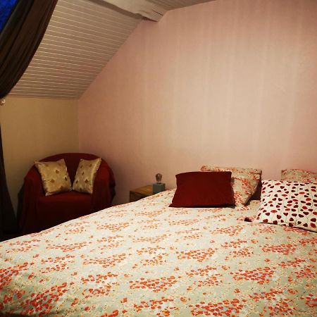 Domaine De L'Esperance, Chambre Rose Bed and Breakfast Bersaillin Εξωτερικό φωτογραφία