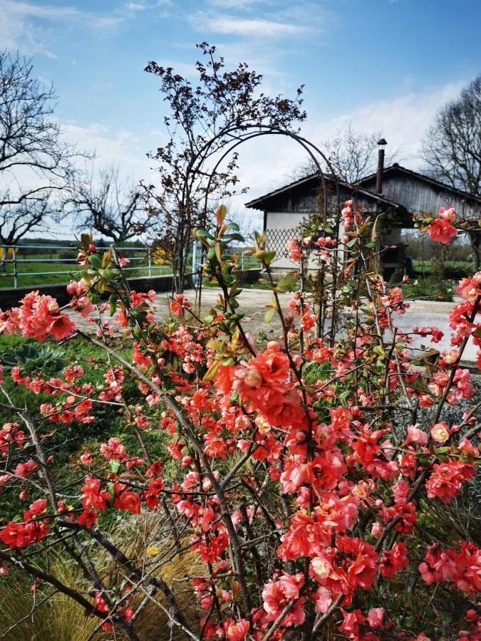 Domaine De L'Esperance, Chambre Rose Bed and Breakfast Bersaillin Εξωτερικό φωτογραφία