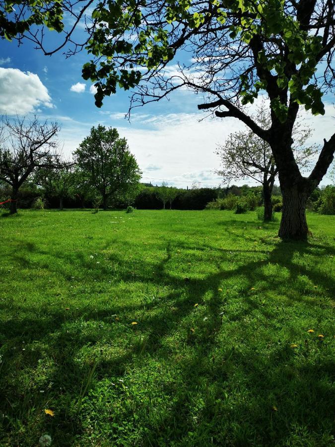 Domaine De L'Esperance, Chambre Rose Bed and Breakfast Bersaillin Εξωτερικό φωτογραφία